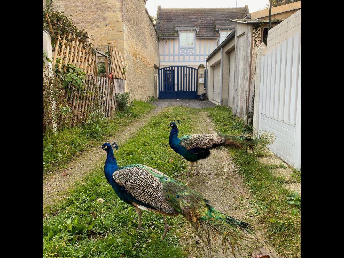 Balaena - Maison Avec Jardin Proche Plage リュック・シュル・メール エクステリア 写真